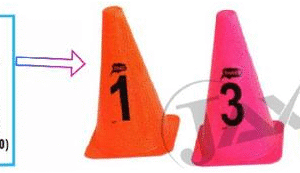Alphabet Cone